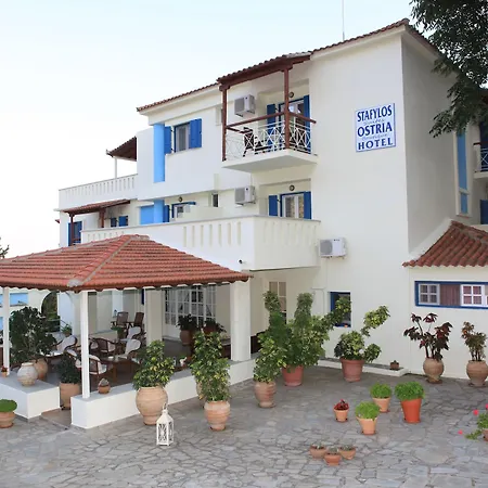 Hotel & Boutique